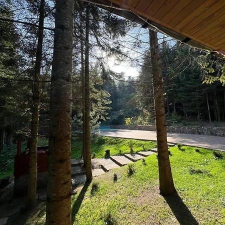 Ялинка Villa Mihova Exterior foto