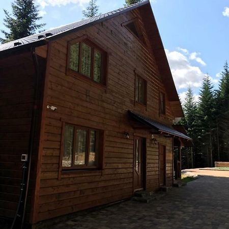 Ялинка Villa Mihova Exterior foto