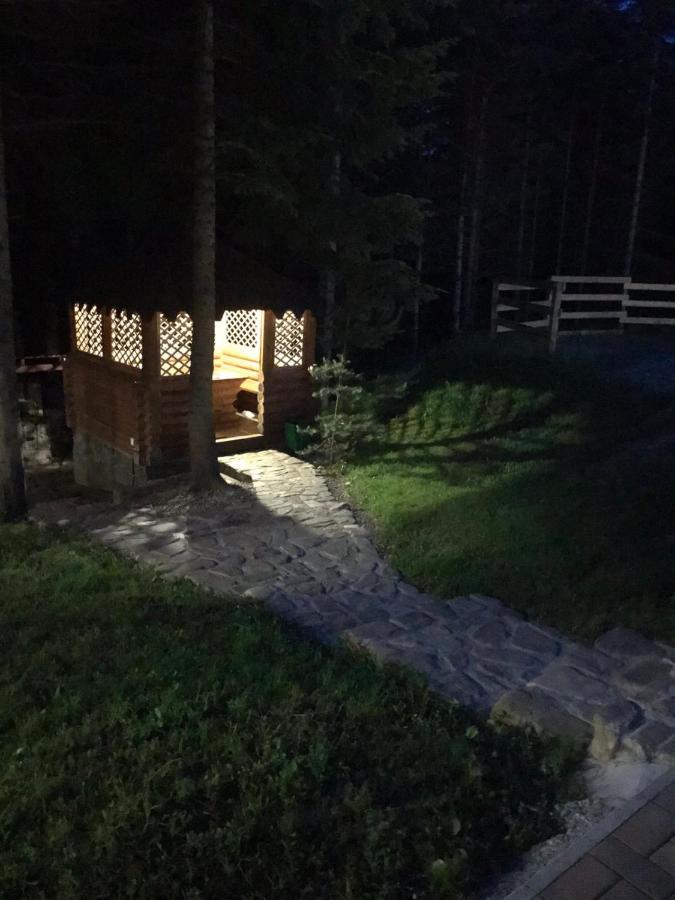 Ялинка Villa Mihova Exterior foto