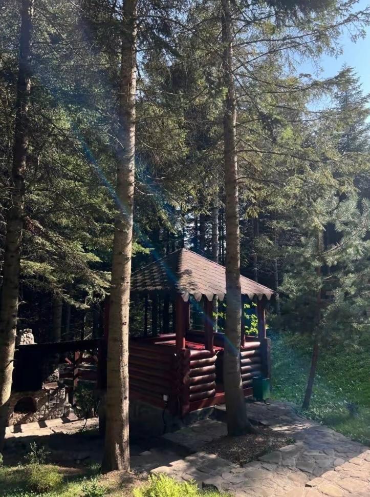 Ялинка Villa Mihova Exterior foto