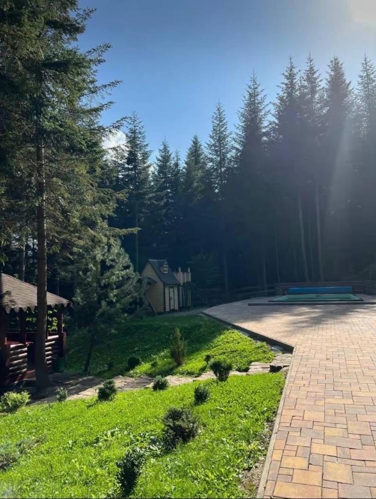 Ялинка Villa Mihova Exterior foto