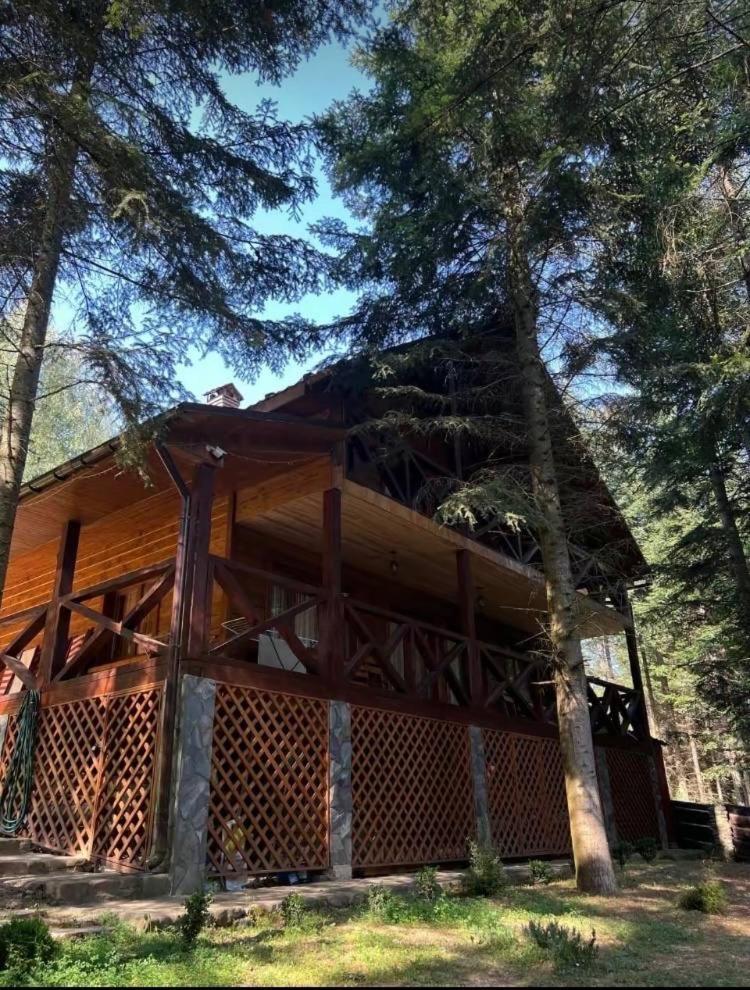 Ялинка Villa Mihova Exterior foto