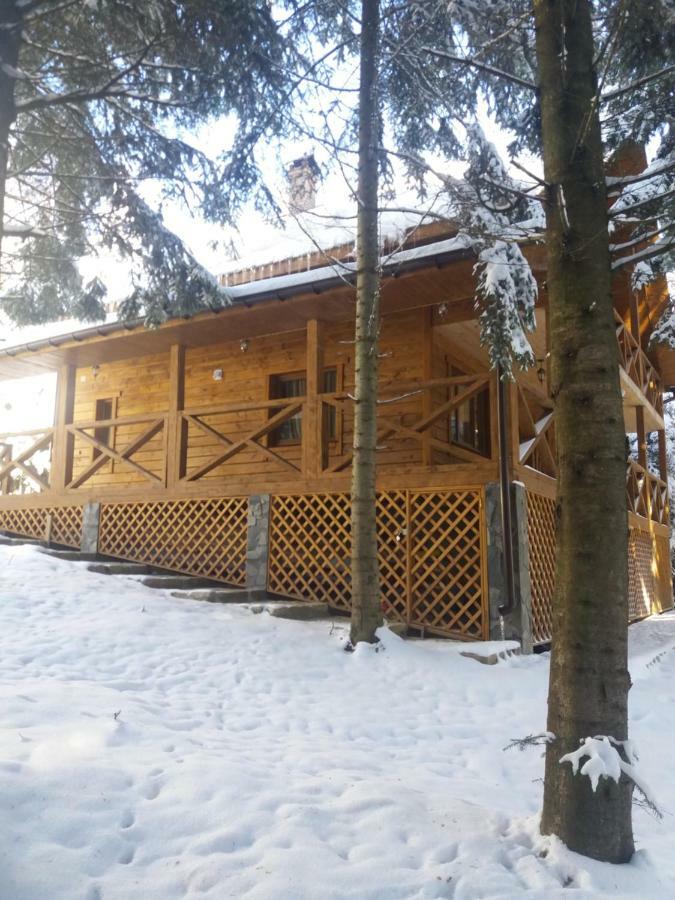Ялинка Villa Mihova Exterior foto
