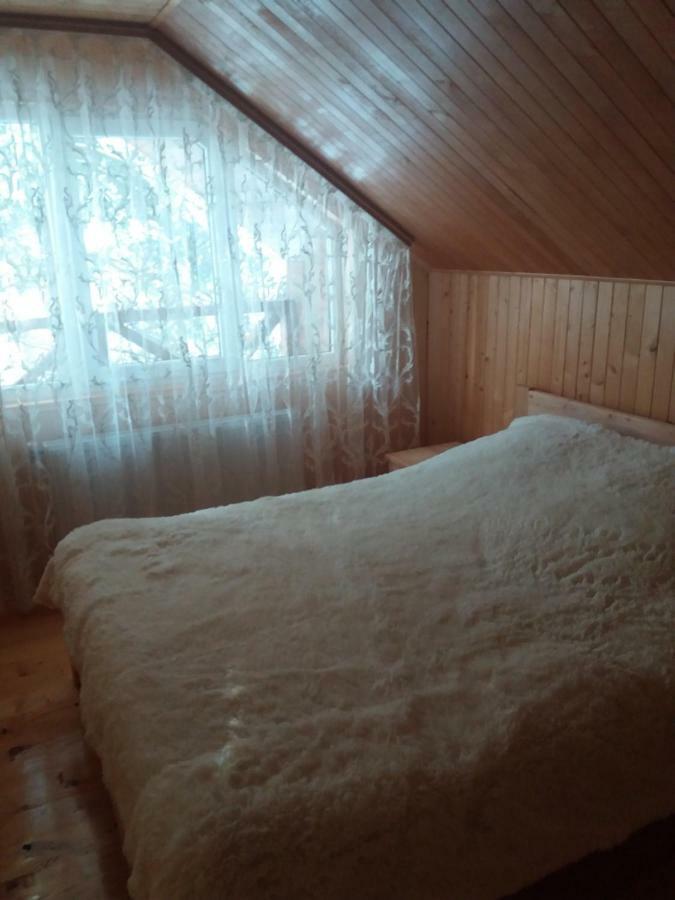 Ялинка Villa Mihova Exterior foto